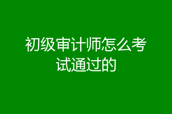 初级审计师怎么考试通过的