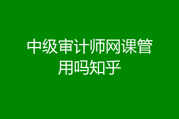 中级审计师网课管用吗知乎