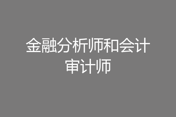 金融分析师和会计审计师