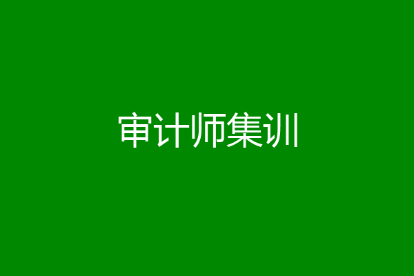 审计师集训