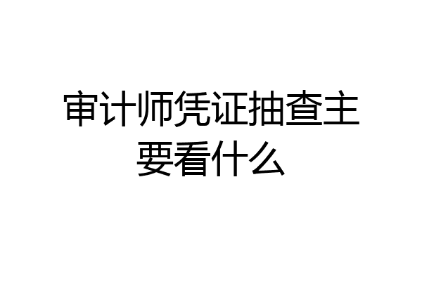 审计师凭证抽查主要看什么