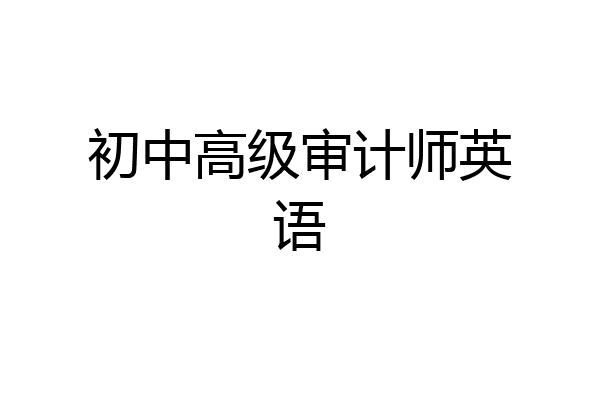初中高级审计师英语