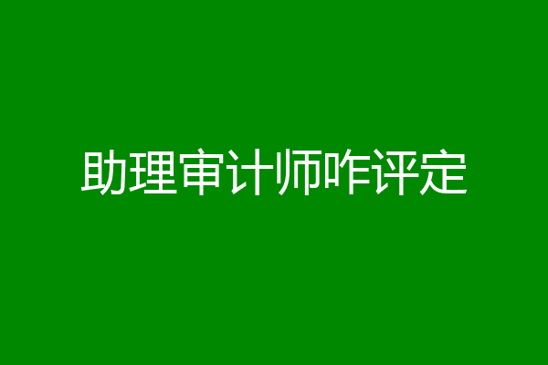助理审计师咋评定