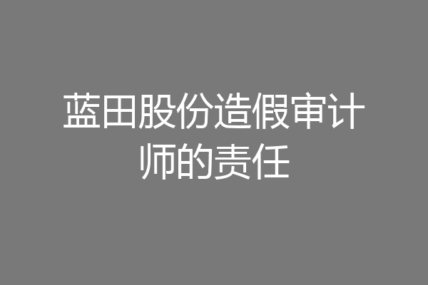 蓝田股份造假审计师的责任