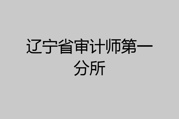 辽宁省审计师第一分所