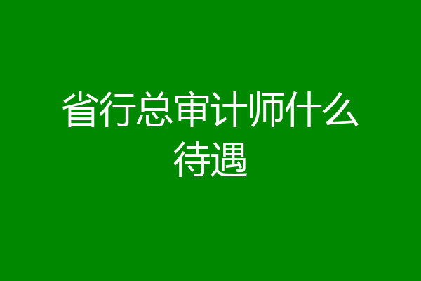 省行总审计师什么待遇