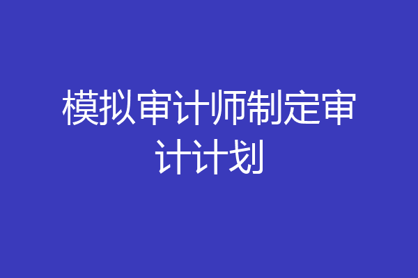 模拟审计师制定审计计划