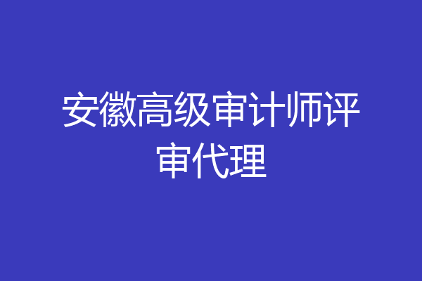 安徽高级审计师评审代理