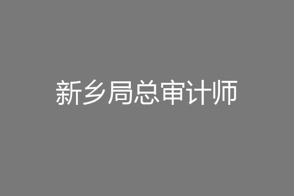 新乡局总审计师