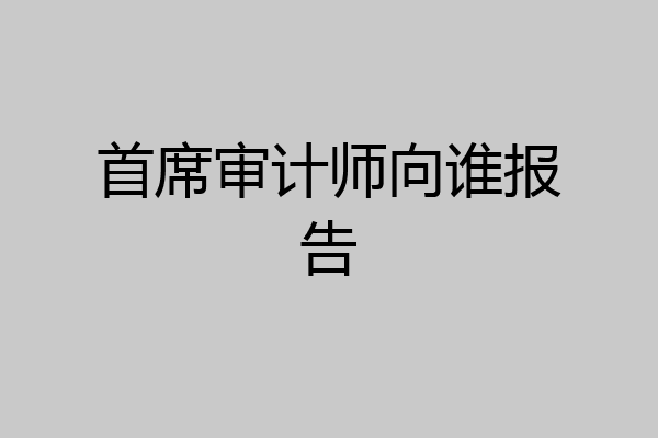 首席审计师向谁报告