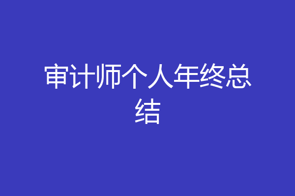 审计师个人年终总结