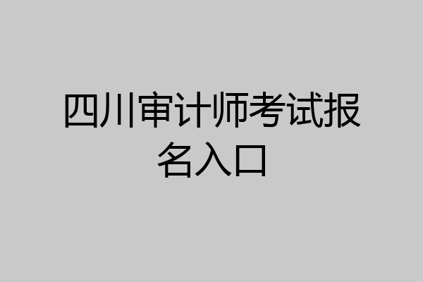 四川审计师考试报名入口