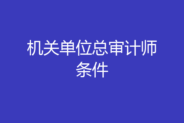 机关单位总审计师条件