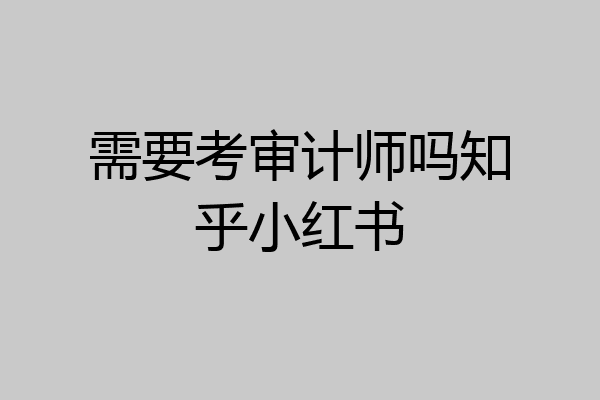 需要考审计师吗知乎小红书