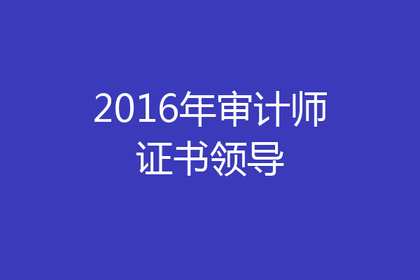 2016年审计师证书领导