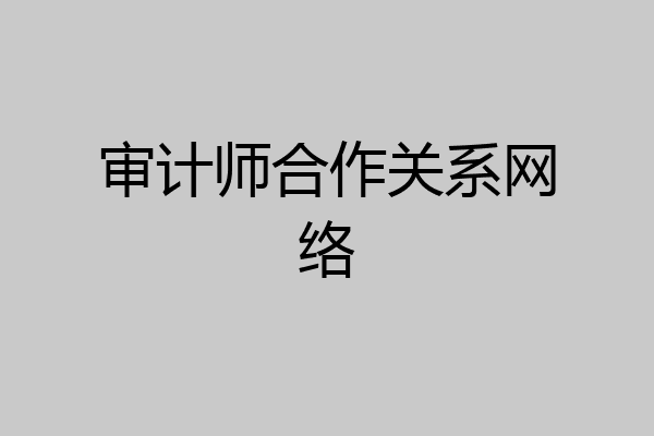 审计师合作关系网络