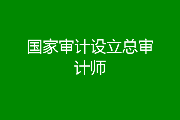 国家审计设立总审计师