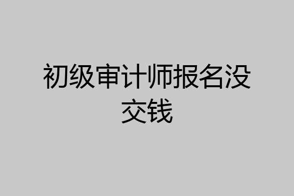 初级审计师报名没交钱