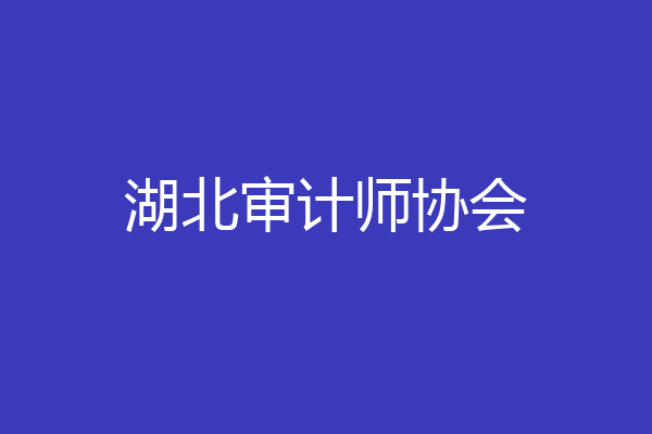 湖北审计师协会