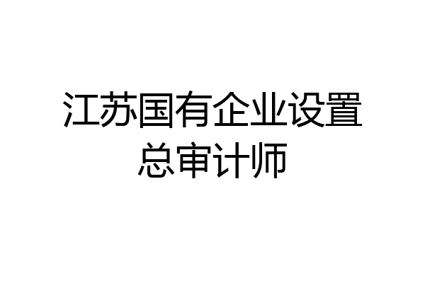 江苏国有企业设置总审计师