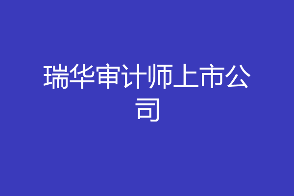 瑞华审计师上市公司