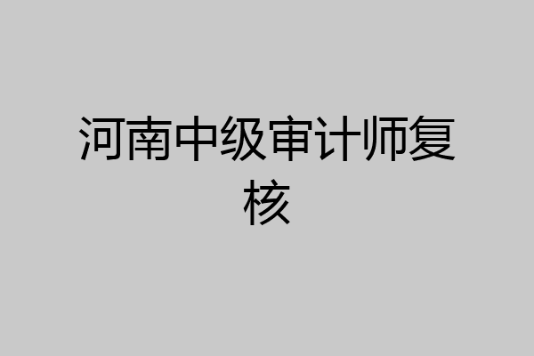河南中级审计师复核