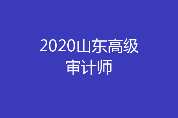 2020山东高级审计师