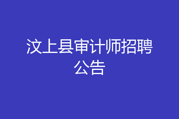 汶上县审计师招聘公告