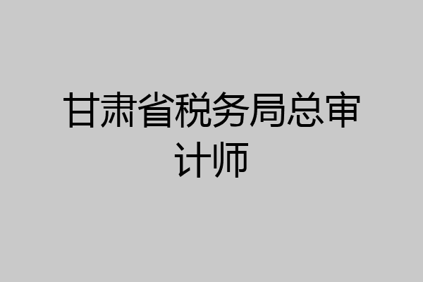 甘肃省税务局总审计师