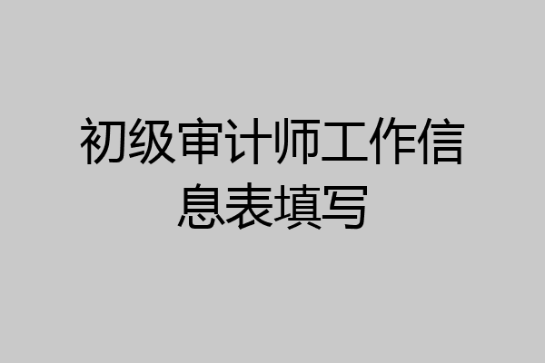 初级审计师工作信息表填写