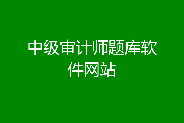 中级审计师题库软件网站