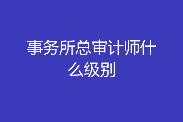 事务所总审计师什么级别