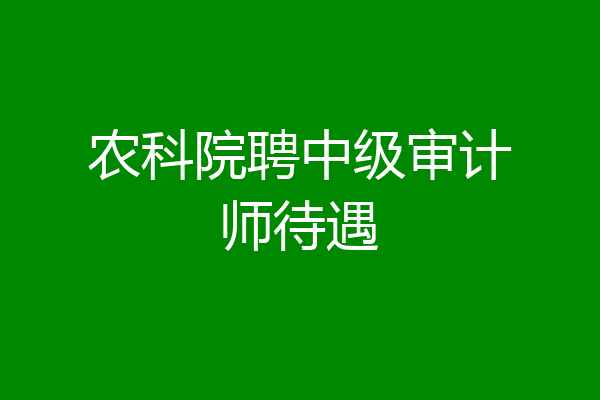 农科院聘中级审计师待遇