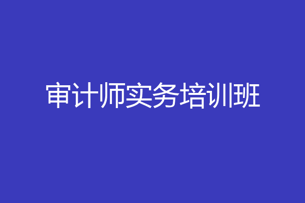审计师实务培训班