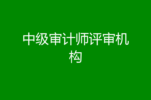中级审计师评审机构