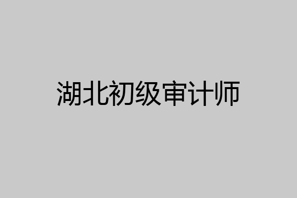 湖北初级审计师