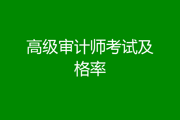 高级审计师考试及格率