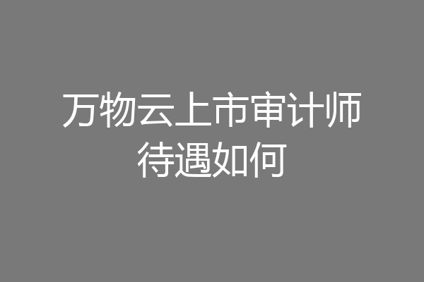 万物云上市审计师待遇如何