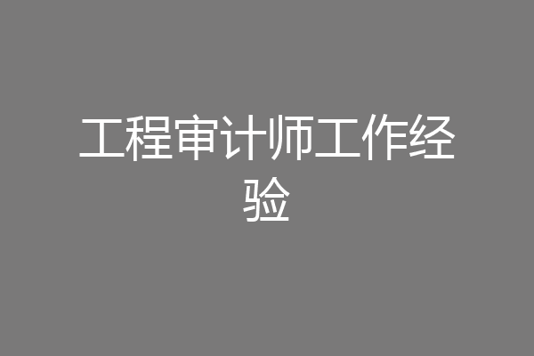 工程审计师工作经验