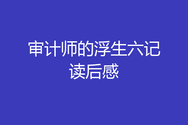 审计师的浮生六记读后感