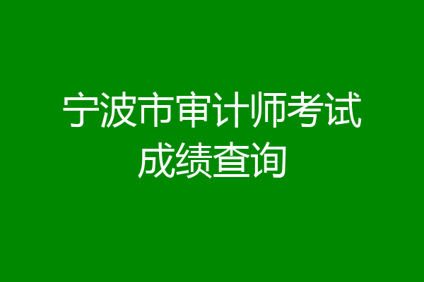 宁波市审计师考试成绩查询