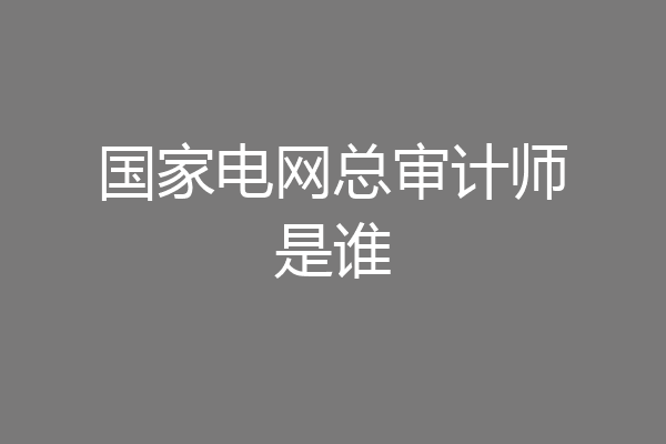 国家电网总审计师是谁