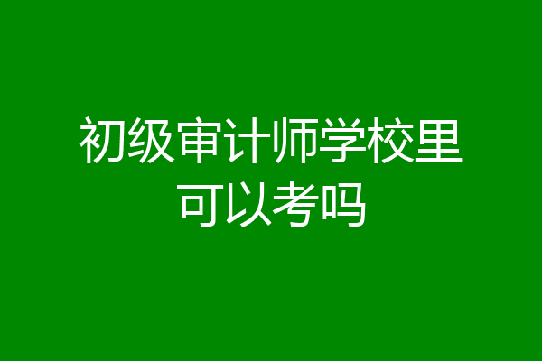 初级审计师学校里可以考吗