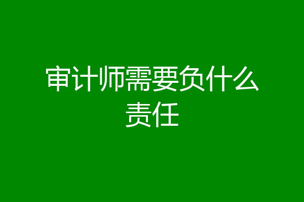 审计师需要负什么责任