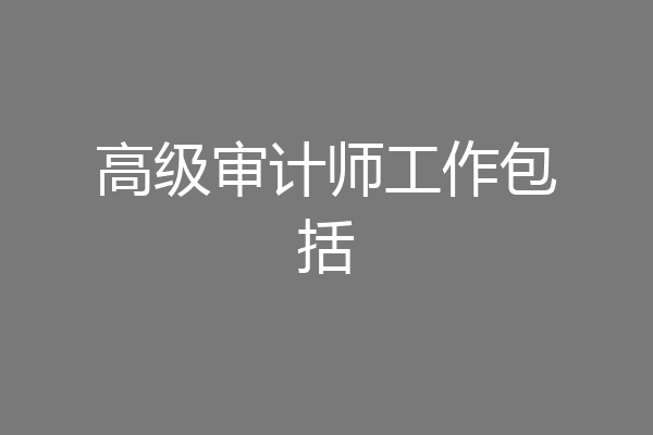 高级审计师工作包括