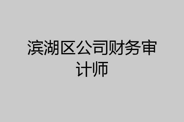 滨湖区公司财务审计师