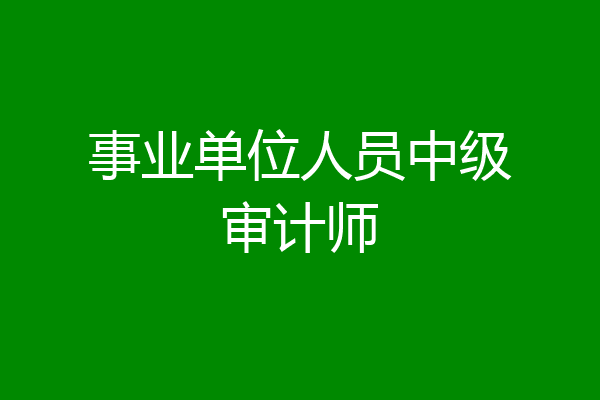 事业单位人员中级审计师