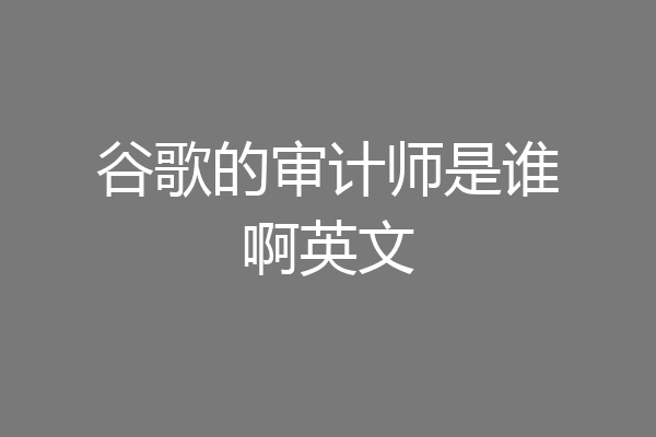 谷歌的审计师是谁啊英文