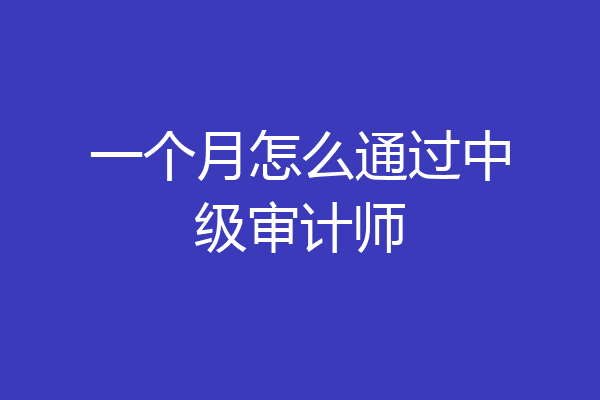 一个月怎么通过中级审计师