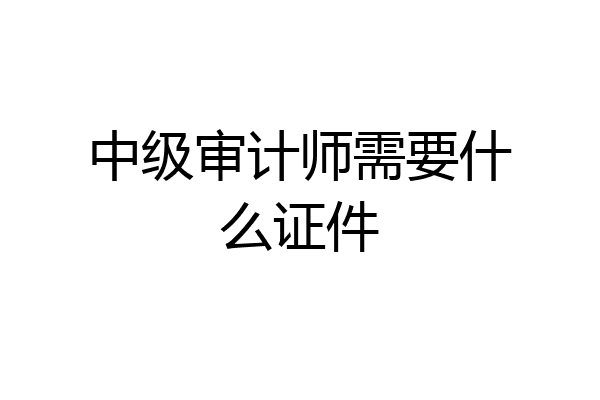 中级审计师需要什么证件